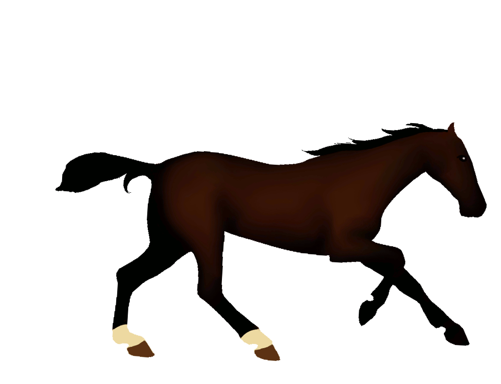 horse4